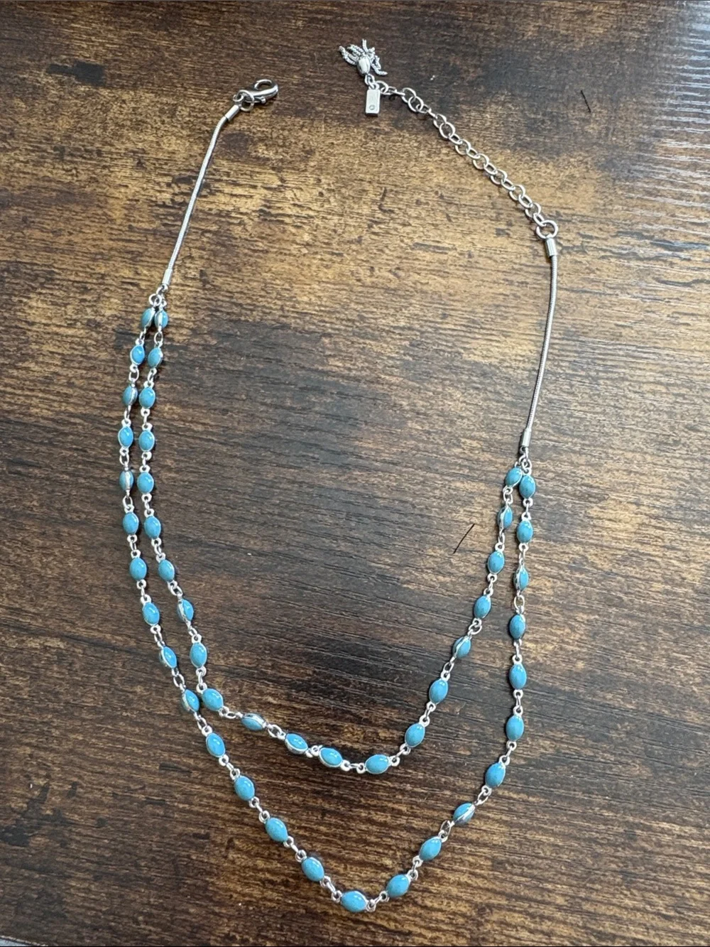 Merona Pin and Simply Vera Blue Double Strand Beaded Necklace